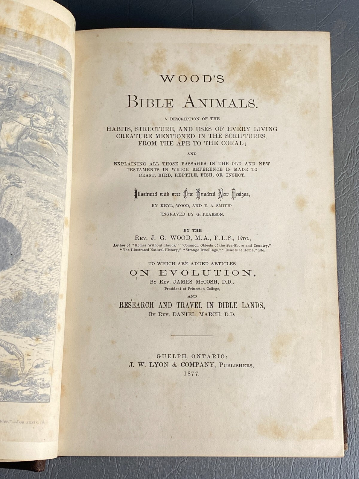 1875 BIBLE ANIMALS WILDLIFE NATURAL HISTORY EVOLUTION BIRDS REPTILES ETC ANTIQUE