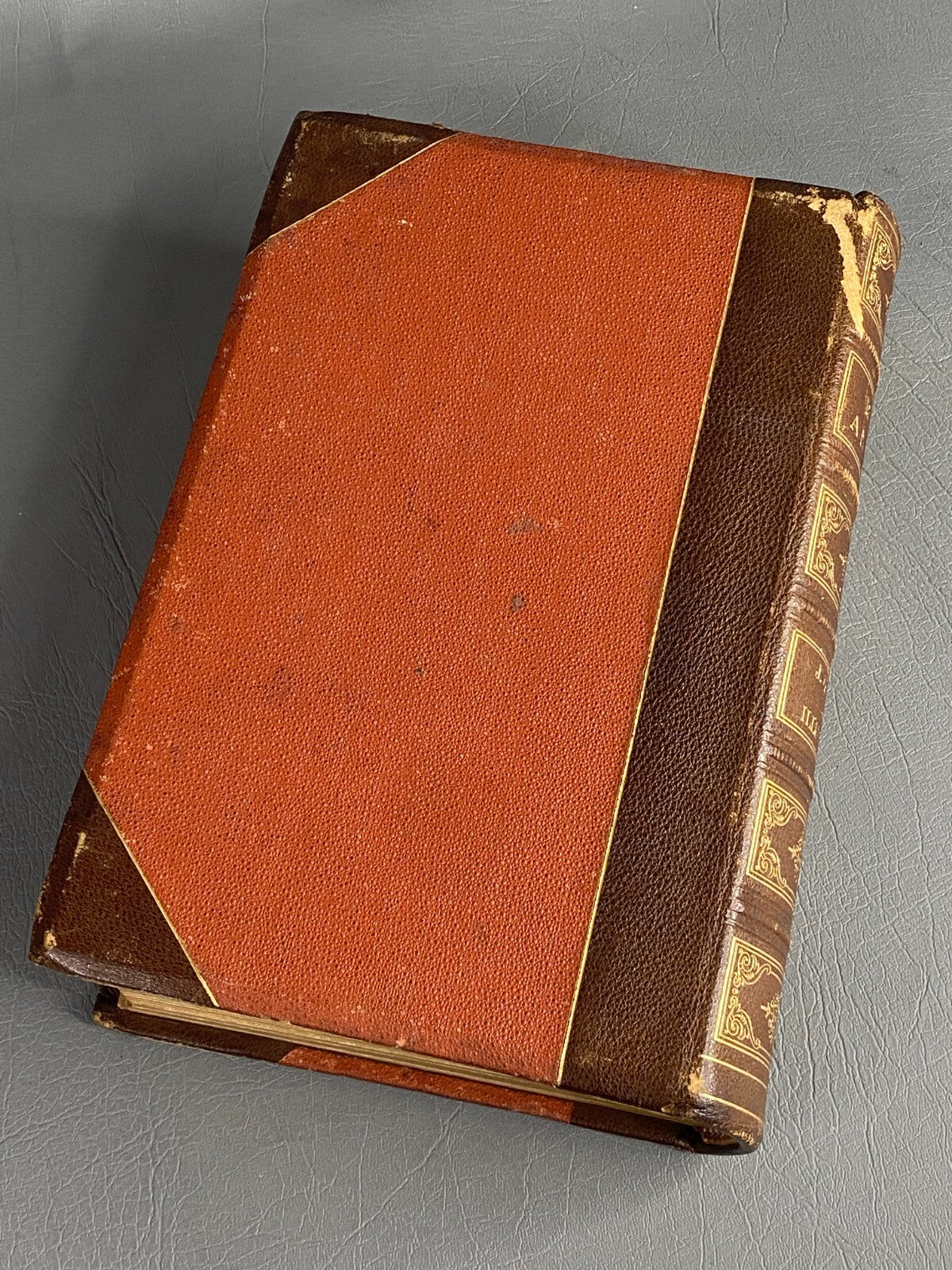 1875 BIBLE ANIMALS WILDLIFE NATURAL HISTORY EVOLUTION BIRDS REPTILES ETC ANTIQUE