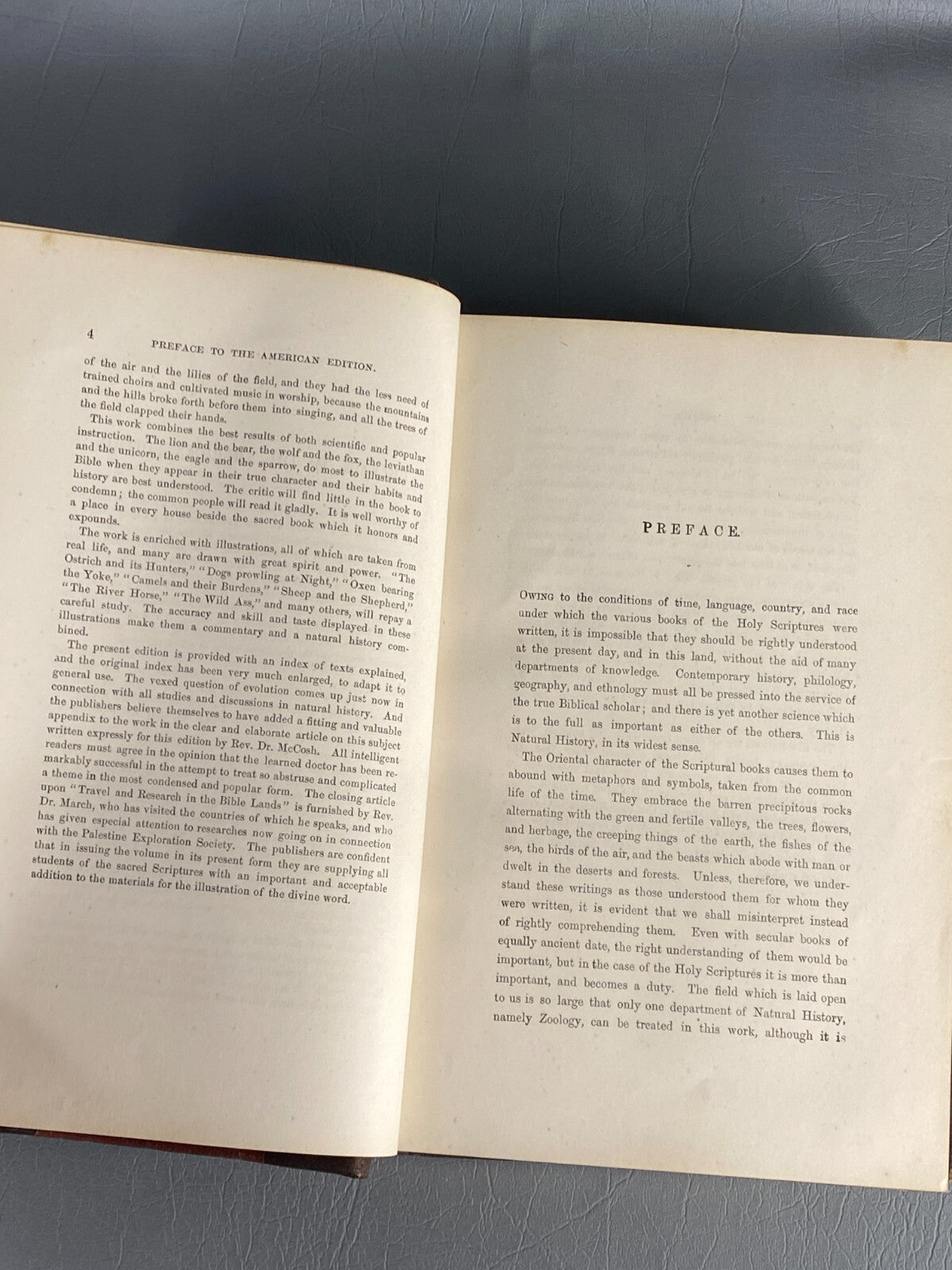 1875 BIBLE ANIMALS WILDLIFE NATURAL HISTORY EVOLUTION BIRDS REPTILES ETC ANTIQUE