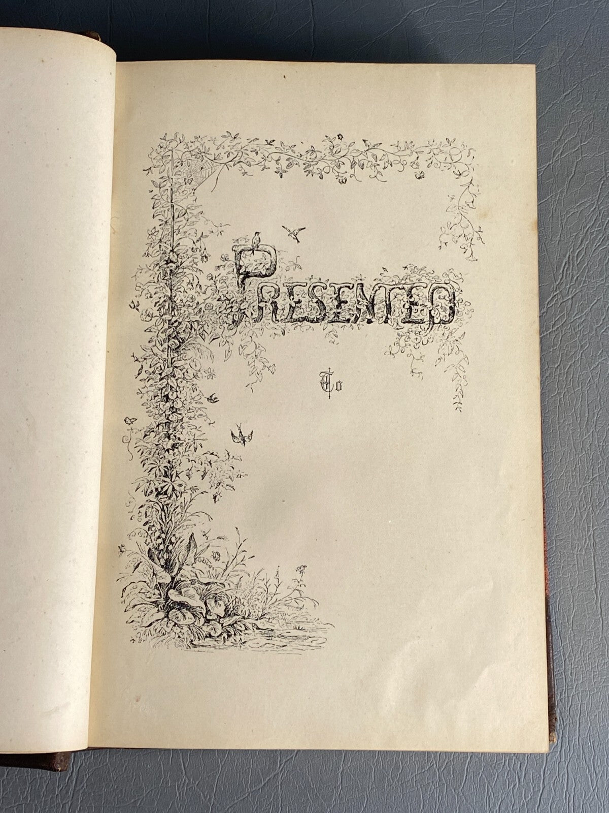 1875 BIBLE ANIMALS WILDLIFE NATURAL HISTORY EVOLUTION BIRDS REPTILES ETC ANTIQUE